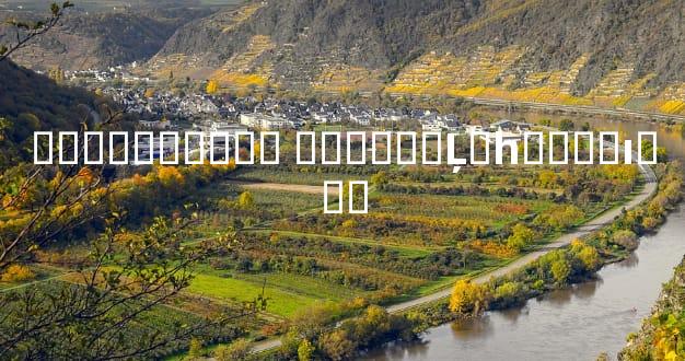 ���볤������ ������Ļᱻһ����ı���